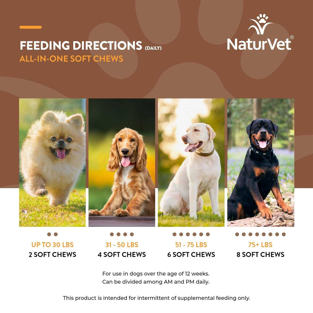 Dog Supplement H724367
