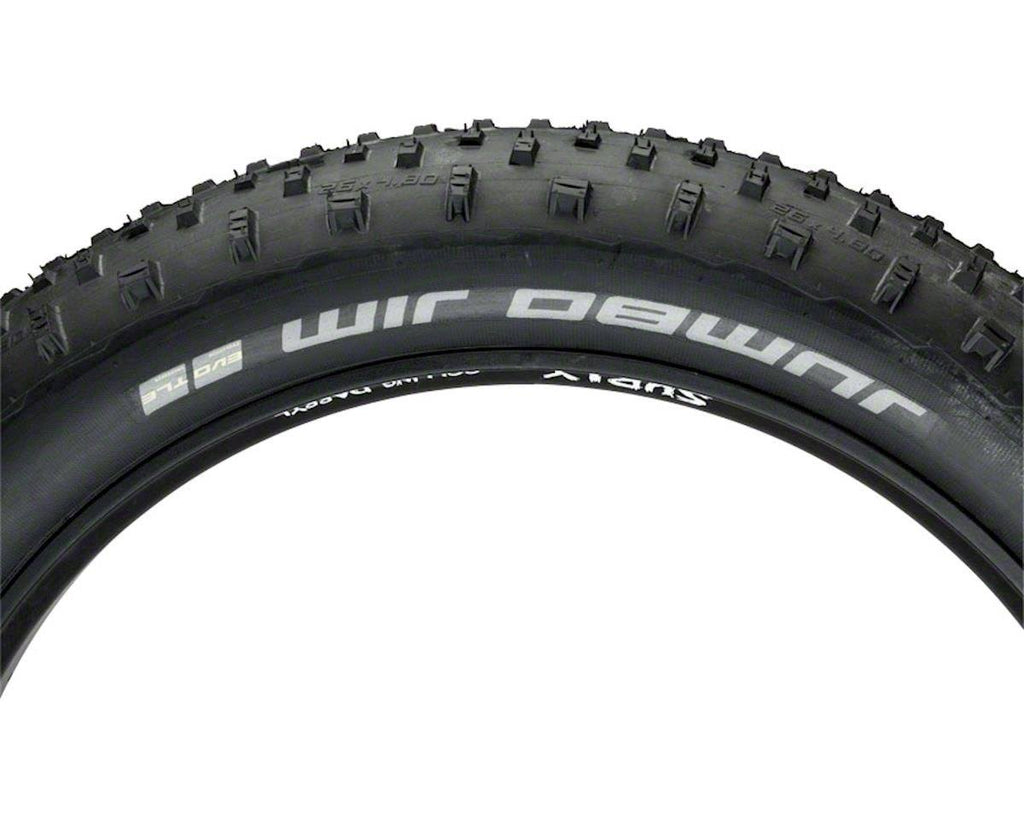 Tubeless Bike Tire Q879