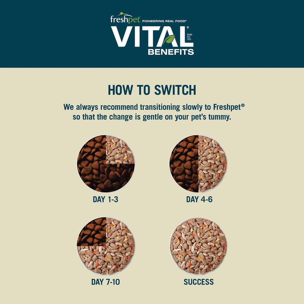 Chicken Recipe Dog Food S100511