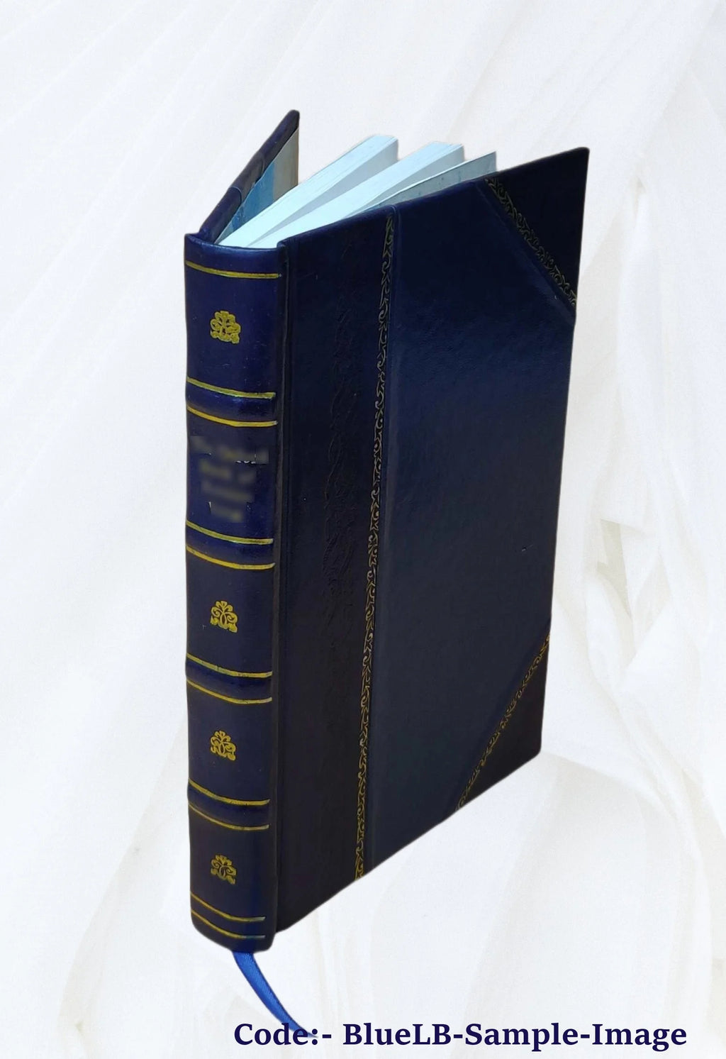 Leather Bound Book X9726