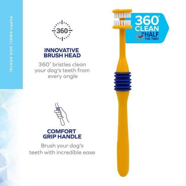 Fresh Spectrum 360 Degree Toothbrush B111357