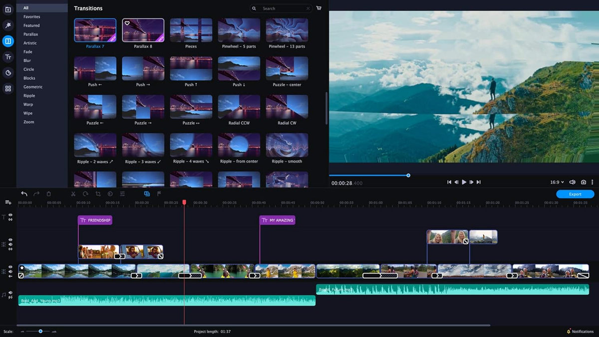 Video Editor Plus Personal license D889221