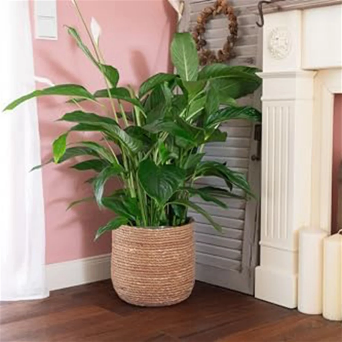 Seagrass Woven Plant Pot with Plastic Film Insert W175