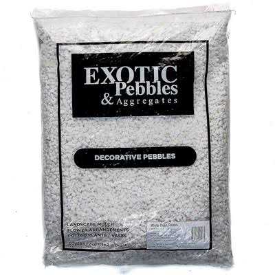 Bean Pebbles S70793