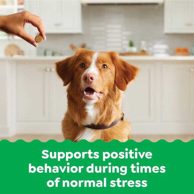 Calming Chews for Dogs Chicken Flavor F4486