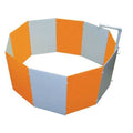 Baby Chick Starter Home R555229