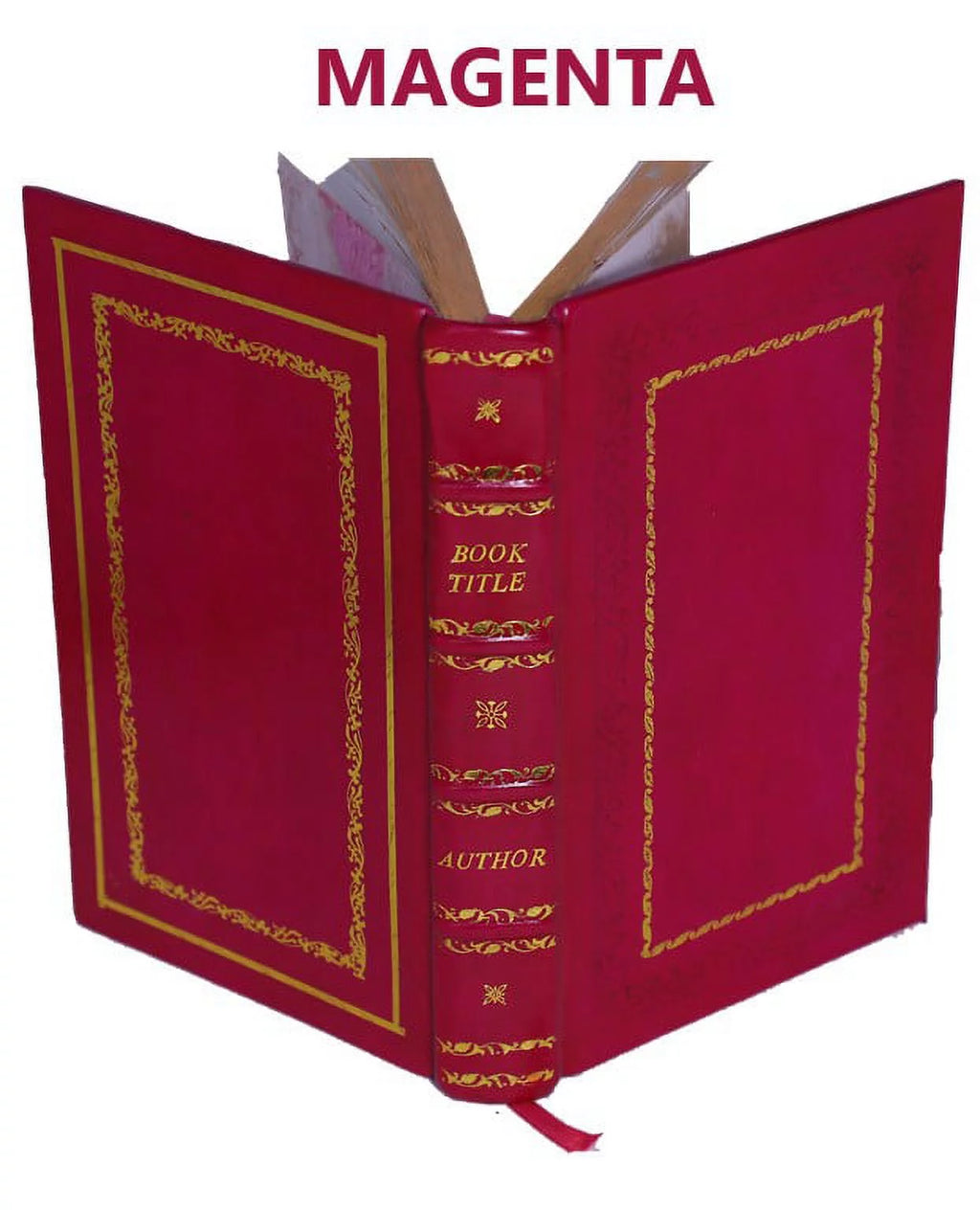 Memoirs of Walsingham Secretary of State 1695 Premium Leather Bound N1459
