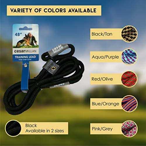 Slip Lead Leash 2-in-1 Dog Training Lead & Collar V92874