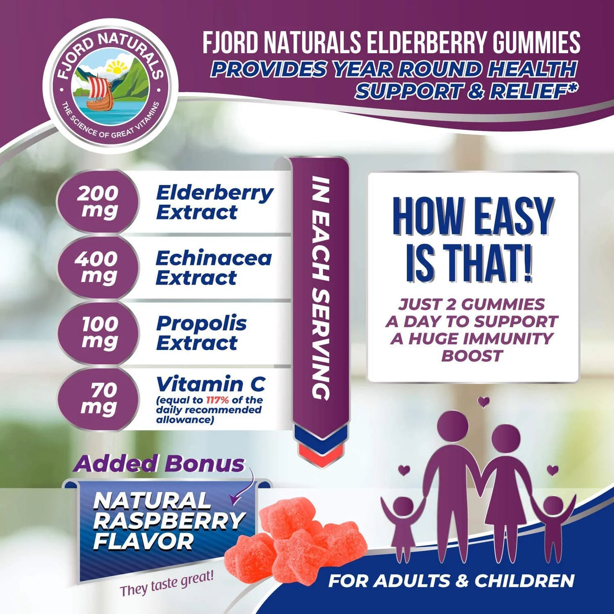 Elderberry Gummies 2 Pack 120 Count S161204