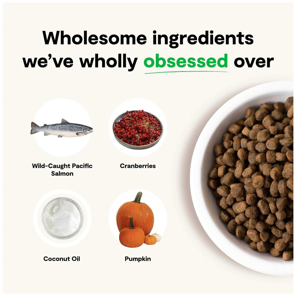 Grain-Free Wild-Caught Salmon Dry Dog Food W2119