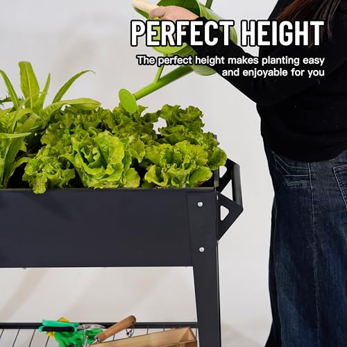 32" Raised Garden Bed with Wheels & Shelf T607