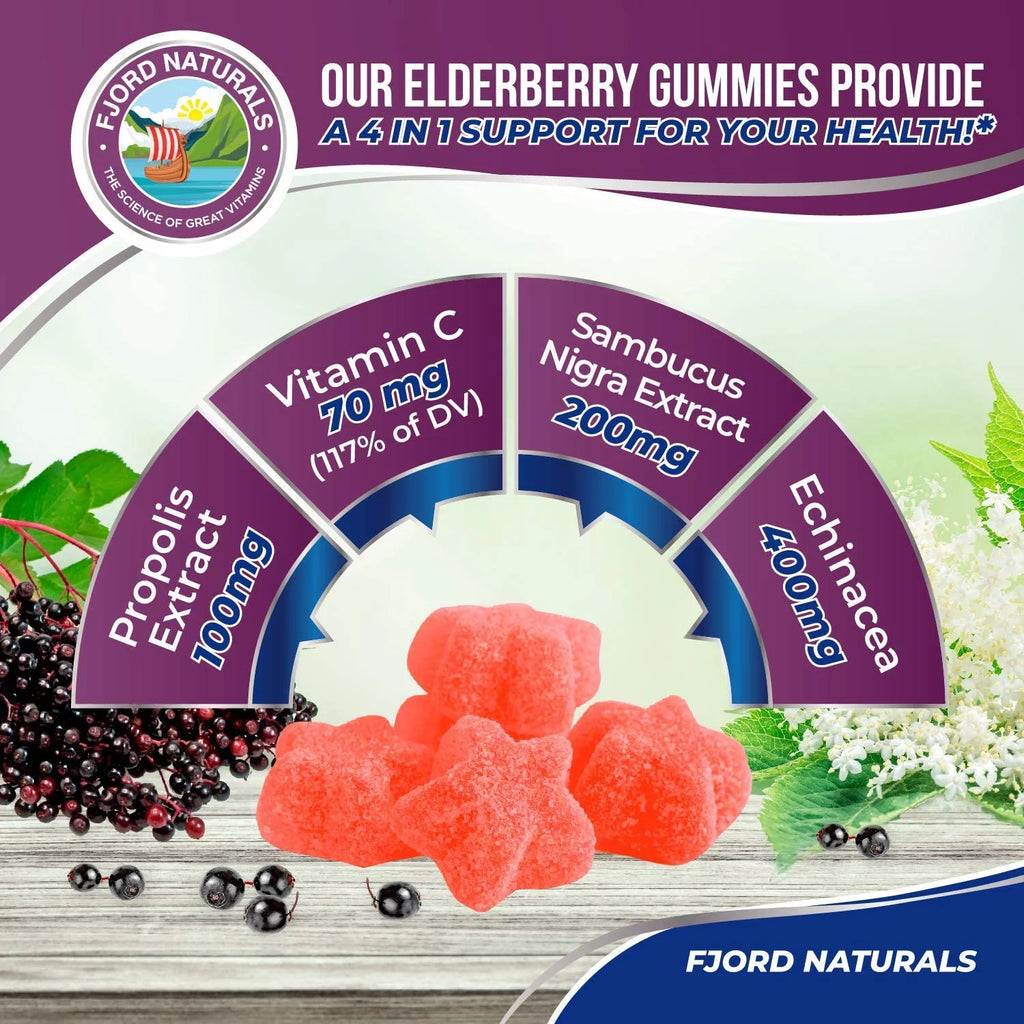 Elderberry Gummies 2 Pack 120 Count S161204