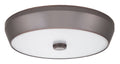 Flush Mount N99581