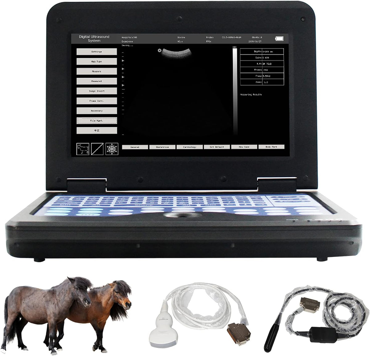 Portable Laptop B-Ultrasound Scanner Machine for Horse/Equine/Sheep Big Animal Use Q70659