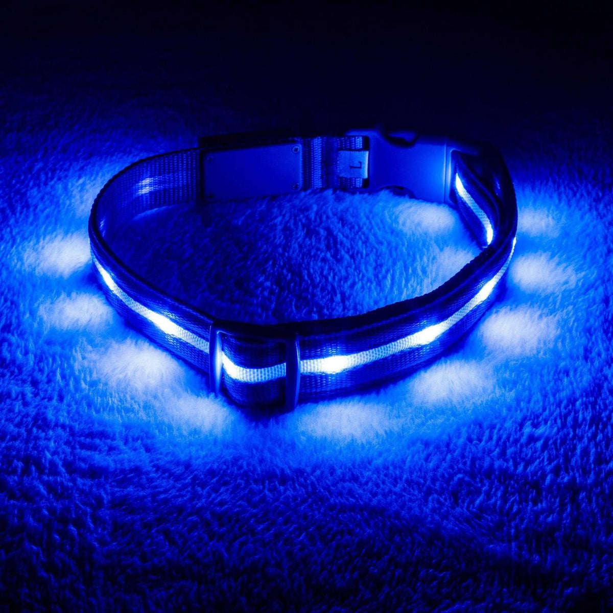 LED Light Up Dog Collar R691