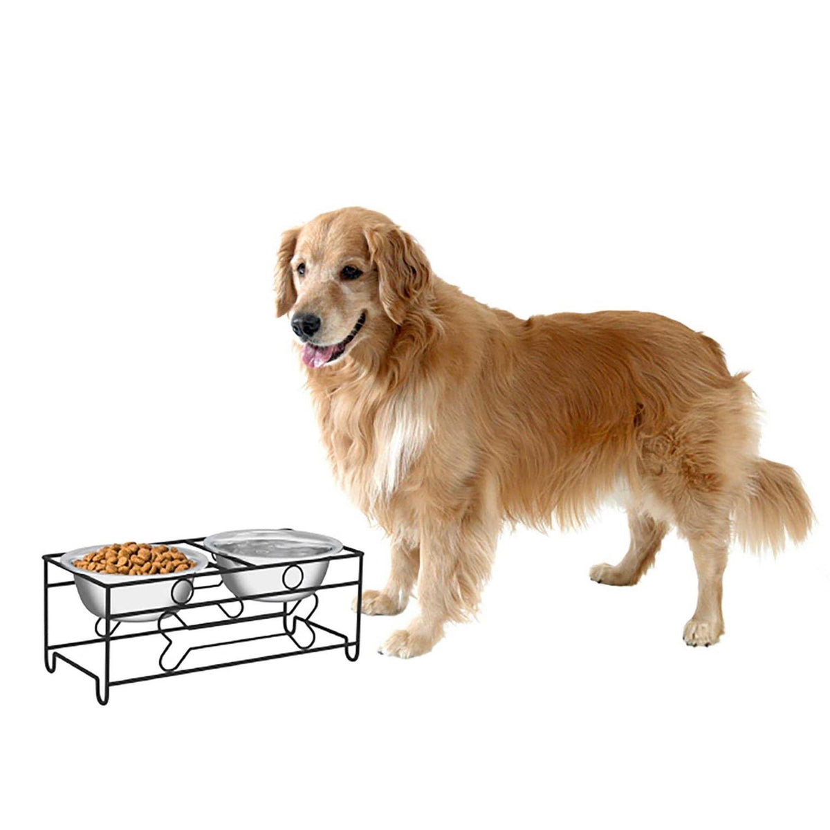 Modern Double Elevated Dog Bowls F286373