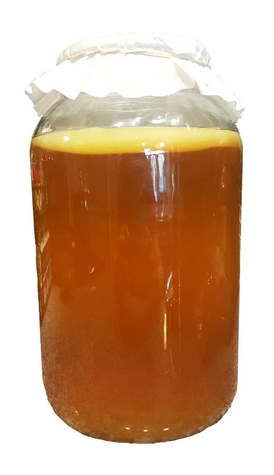 Kombucha Starter Kit with SCOBY, Starter Tea, Organic Sugar, Gallon Glass Jar with Lid P542