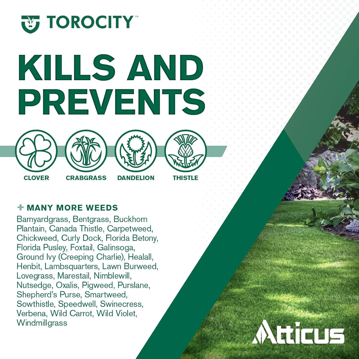 16 oz Turf Herbicide (2 x 8 oz Bottles) Q862450