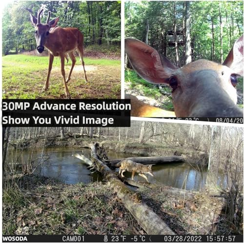 2 Pack Trail Cameras with Night Vision Motion Activated Waterproof 30MP Hunting Game Camera 1080P HD Trail Cam with SD Card S8567