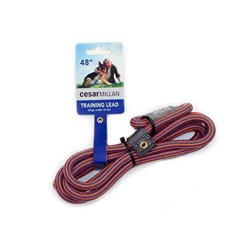 Slip Lead Leash 2-in-1 Dog Training Lead & Collar V92874