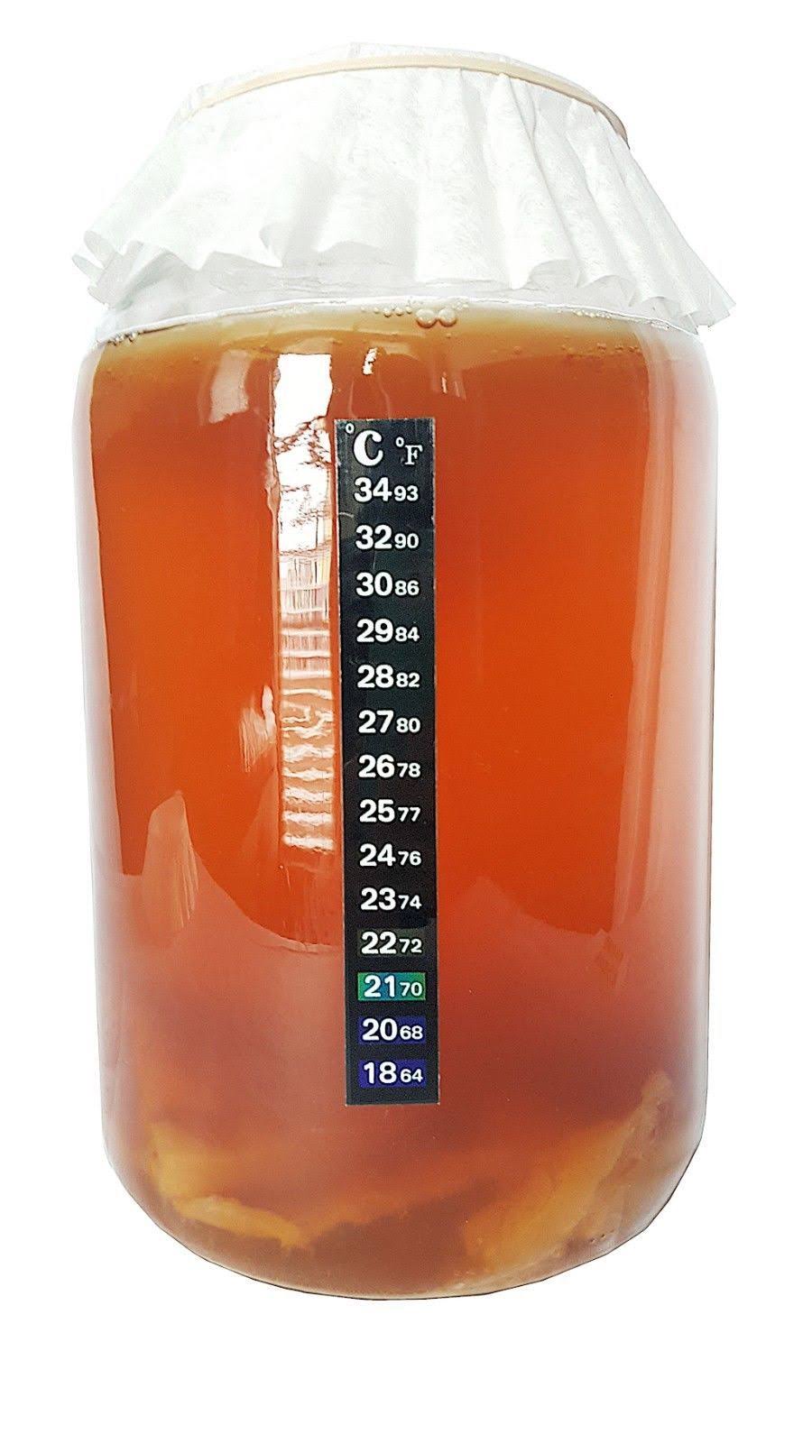 Kombucha Starter Kit with SCOBY, Starter Tea, Organic Sugar, Gallon Glass Jar with Lid P542