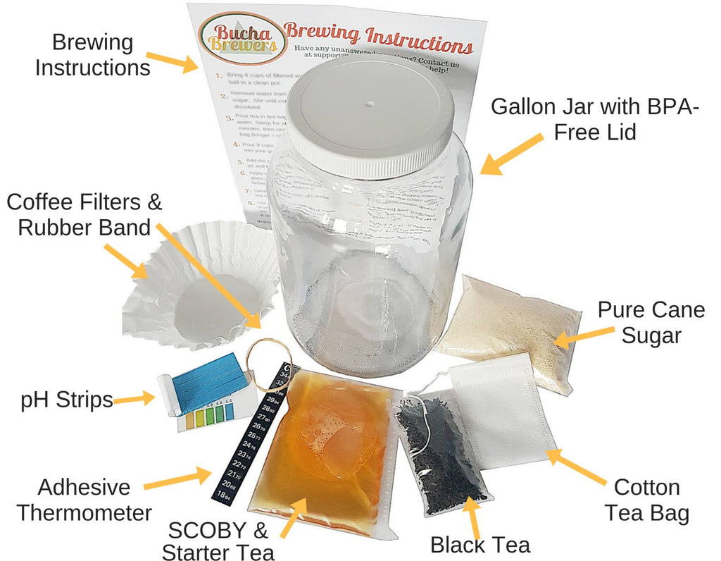 Kombucha Starter Kit with SCOBY, Starter Tea, Organic Sugar, Gallon Glass Jar with Lid P542
