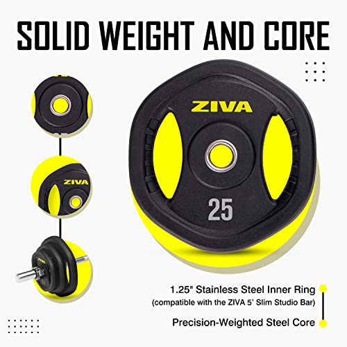 Adjustable Studio Barbell Weight Set - 6 Weight Plates, Knurled Chrome Bar, 2 Collars - 40 pounds R728