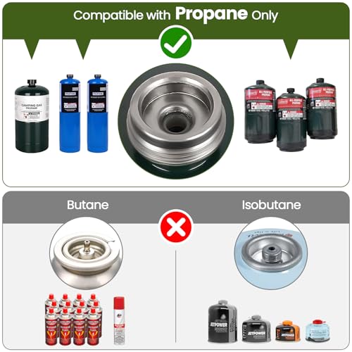 2-Burner Portable Propane Camp Stove with Griddle and Carrying Bag Y589