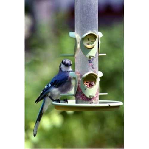 Classic Wild Bird Food T7035