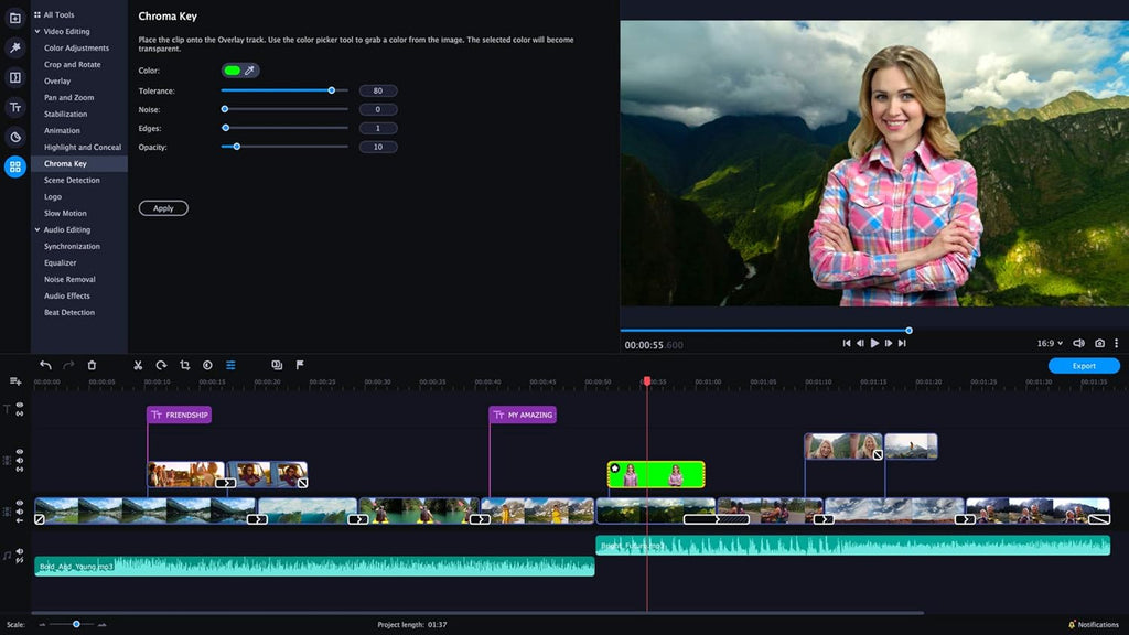 Video Editor Plus Personal license D889221