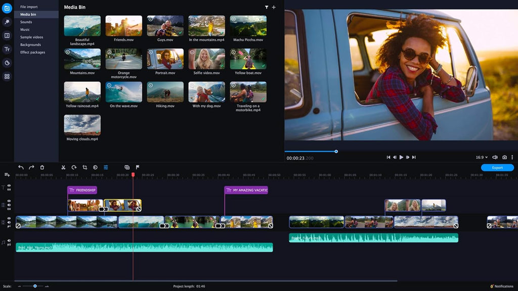 Video Editor Plus Personal license D889221