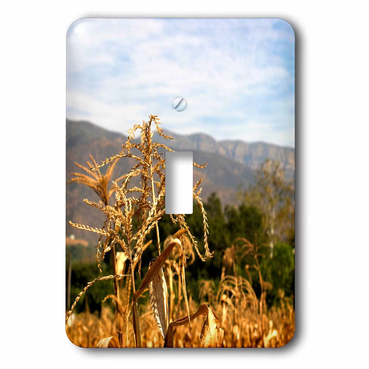Corn field with Topa Topa Mountains in the Ojai valley toggle switch K93547