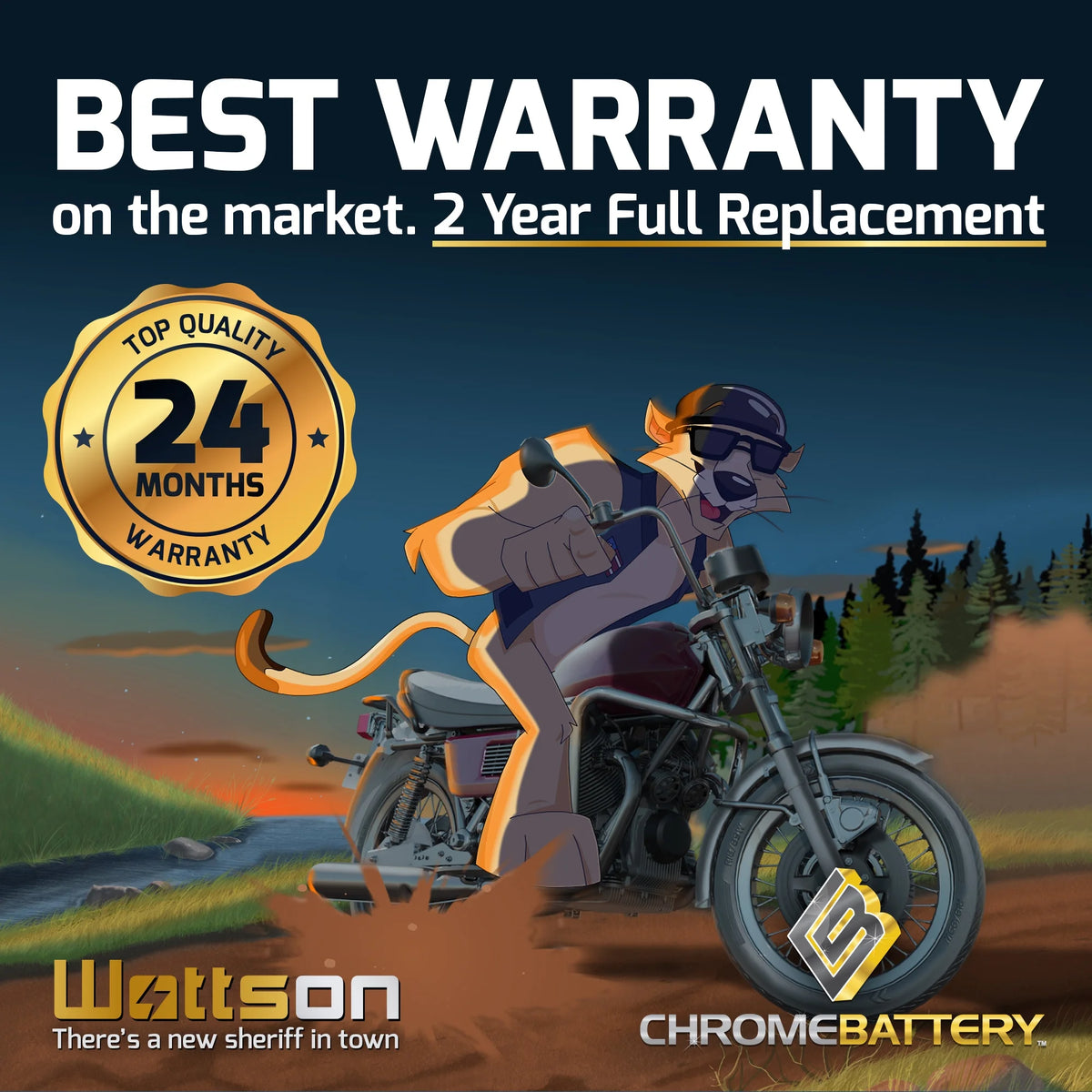 12 Volts 3 Ah 50 Cca Sealed AGM Motorcycle Battery O5945