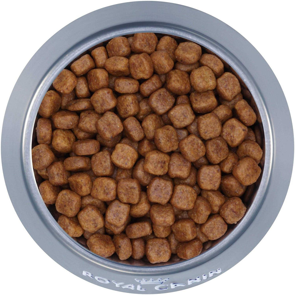 Adult Dry Dog Food D4169