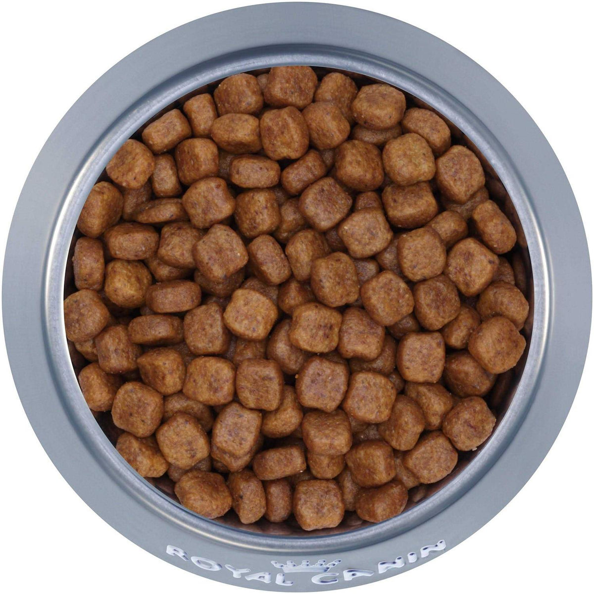Adult Dry Dog Food D4169