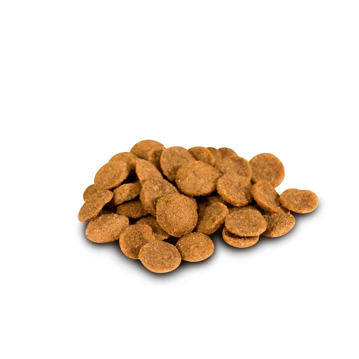 Grain-Free Dry Dog Food J277756