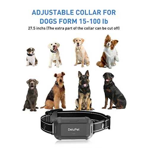 Dog Training Collar with Remote E5127