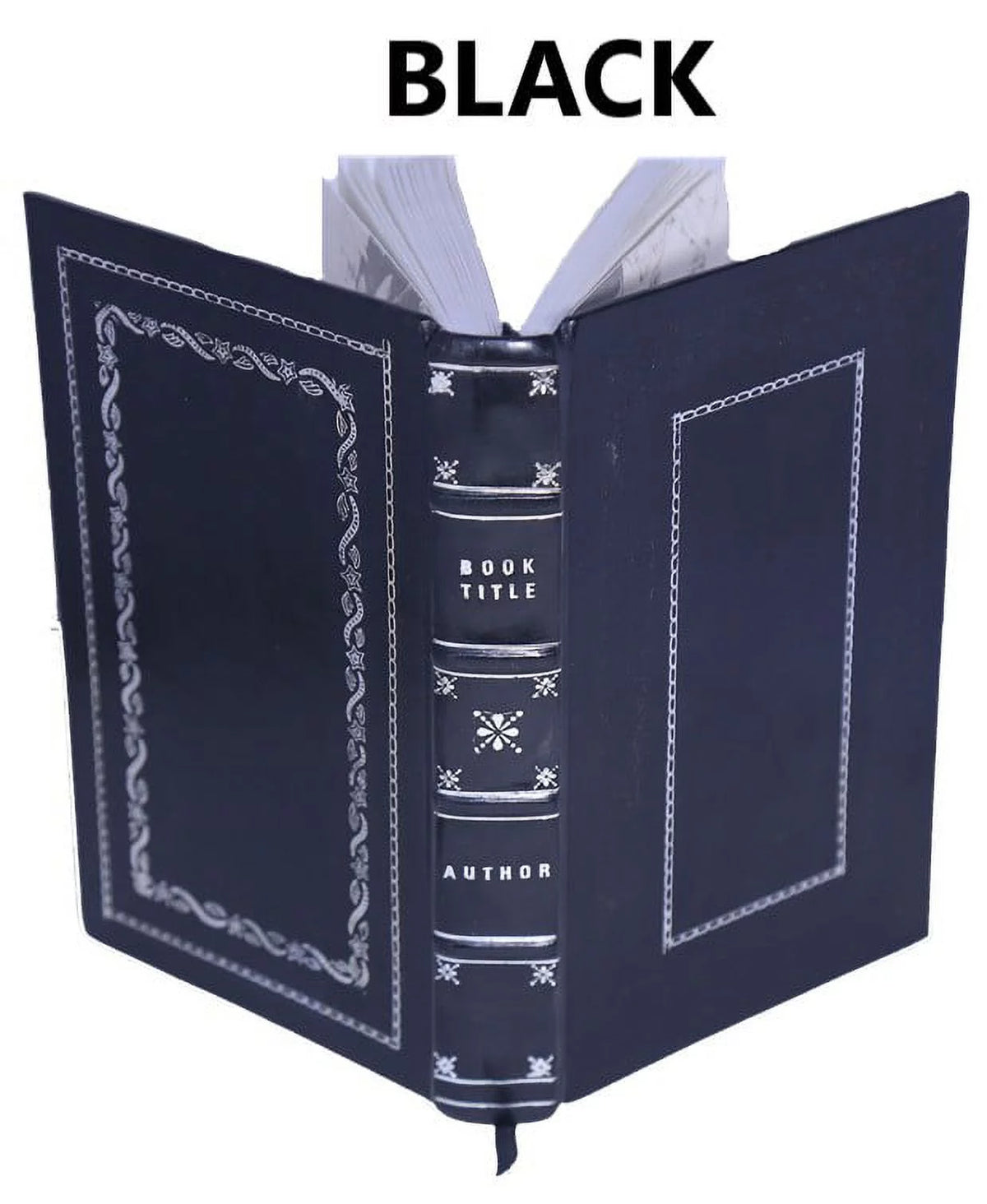Memoirs of Walsingham Secretary of State 1695 Premium Leather Bound N1459