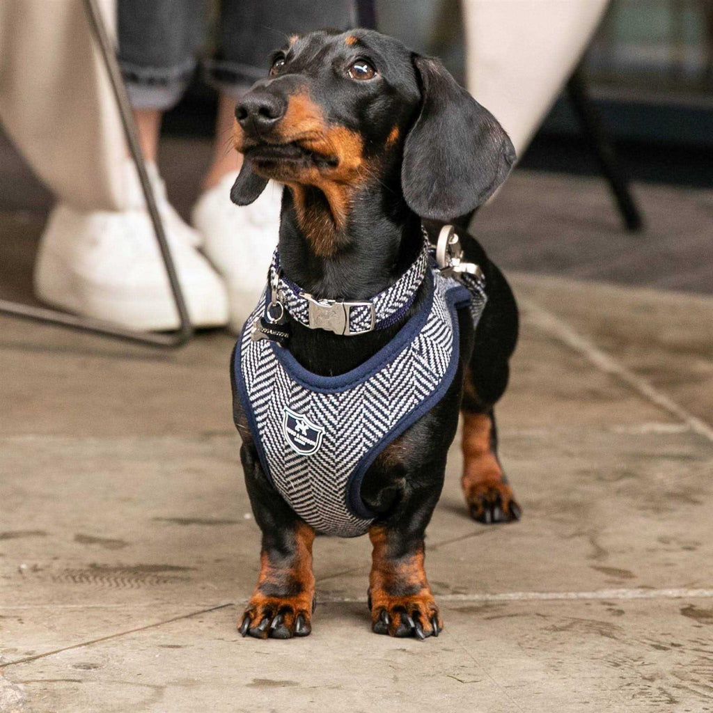 Tweed Dog Harness Vest E6559