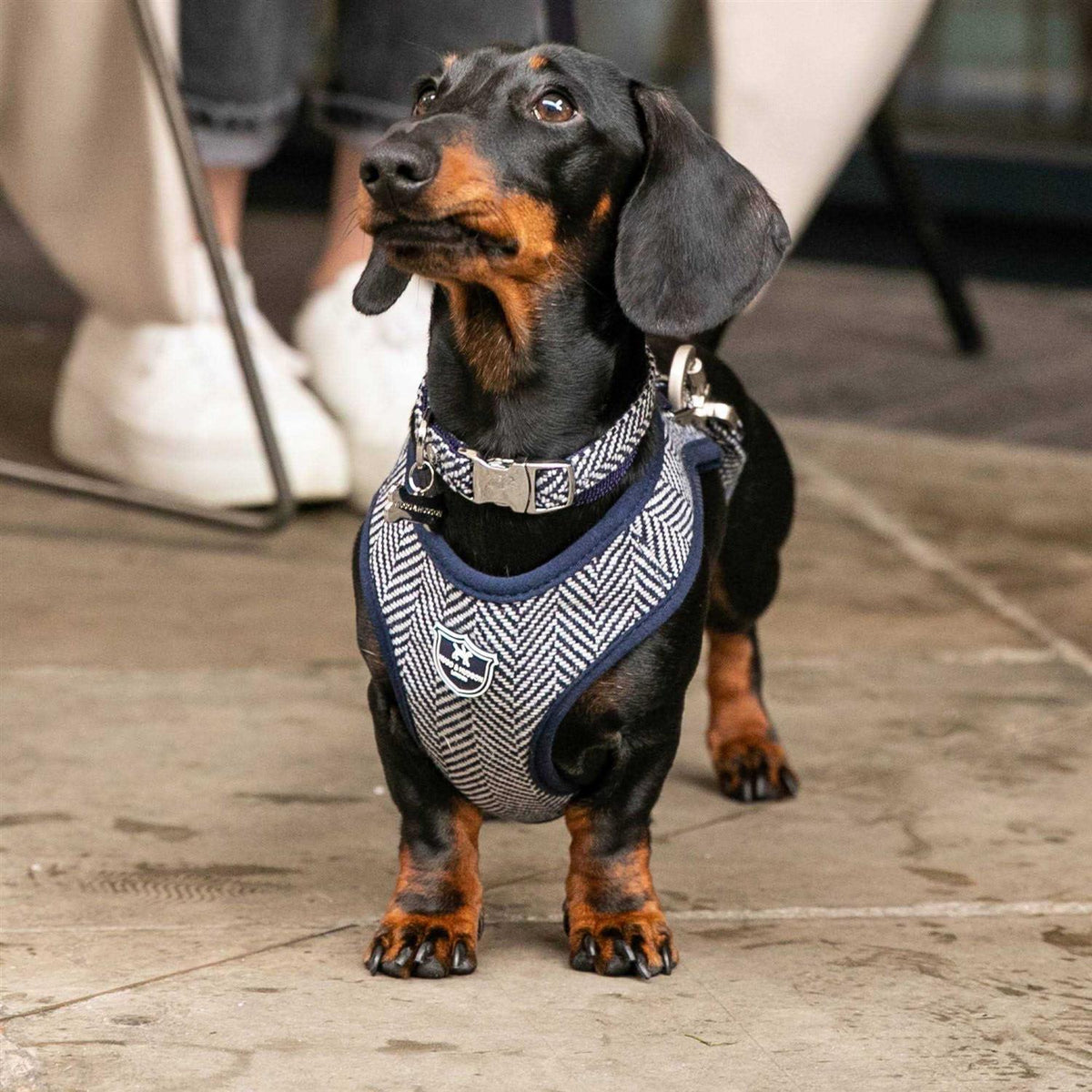 Tweed Dog Harness Vest E6559