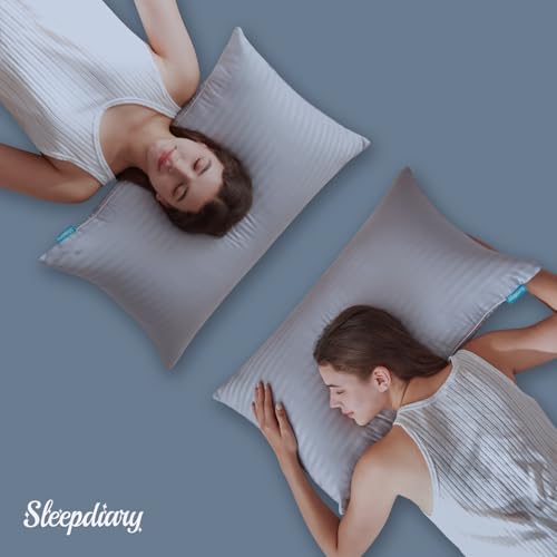 Queen Size Set of 2 Gray Down Alternative Pillows T8429