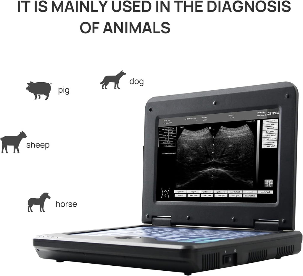 Portable Laptop B-Ultrasound Scanner Machine for Horse/Equine/Sheep Big Animal Use Q70659