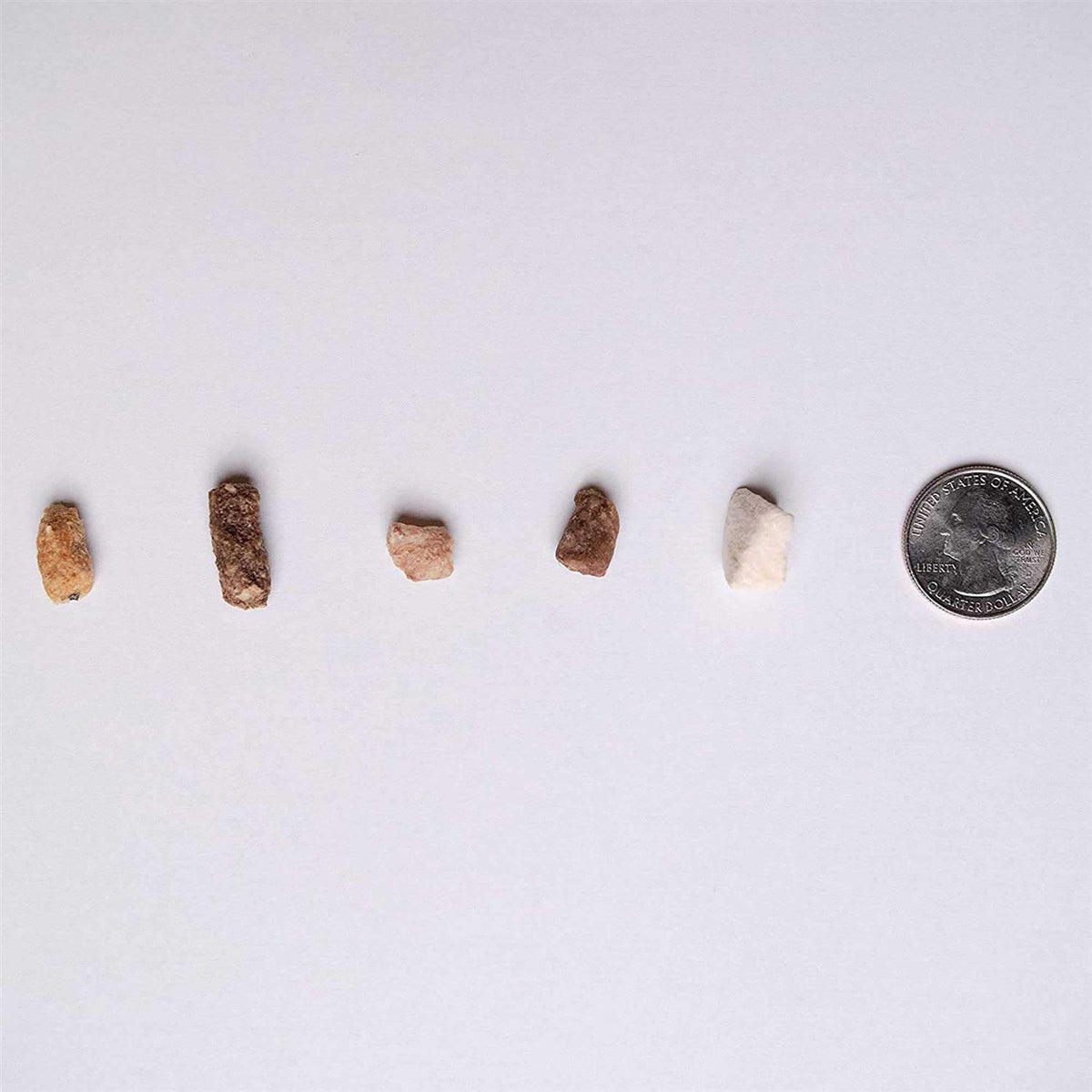Chicken Freeze-Dried Dog Treats P31605