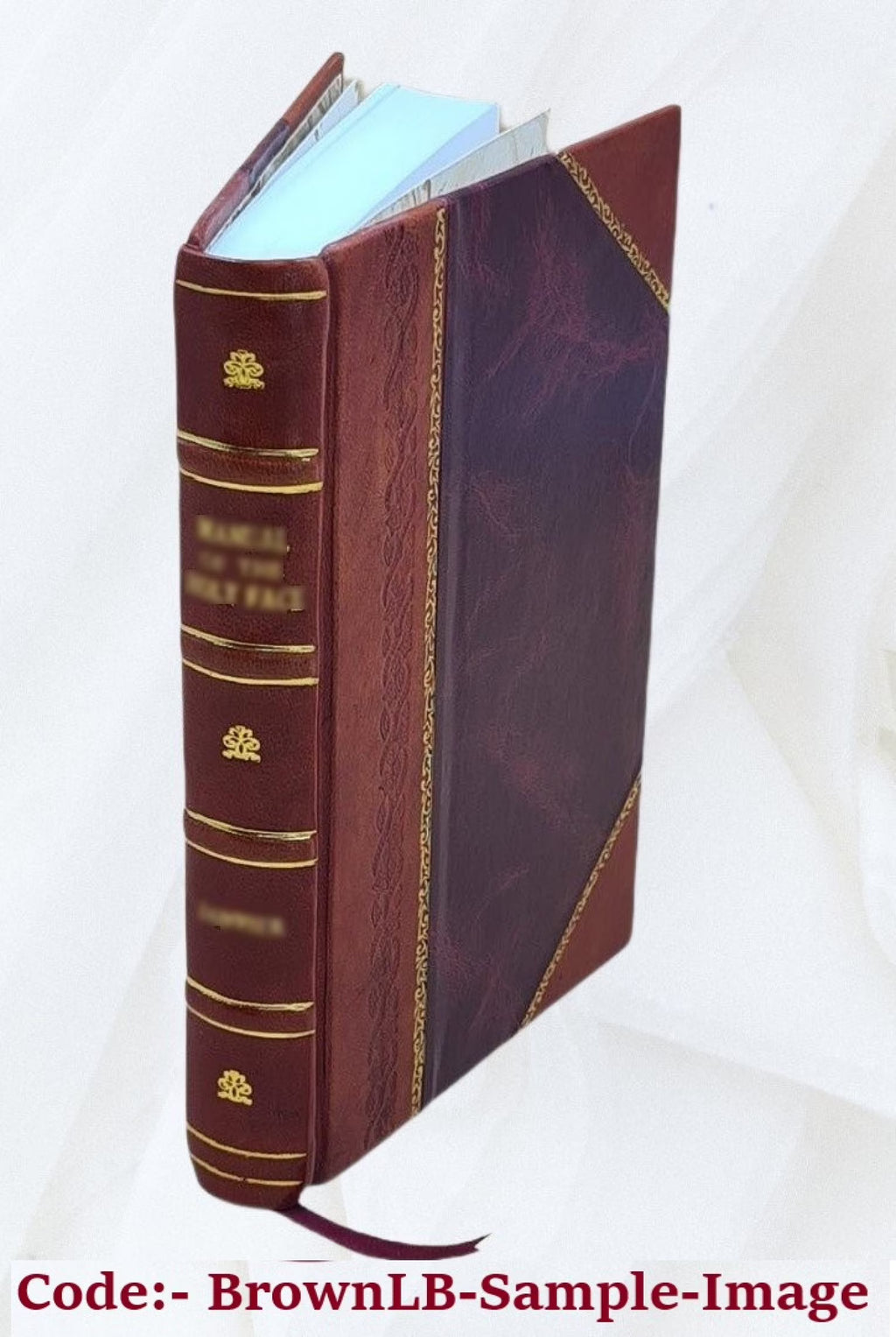 Leather Bound Book X9726