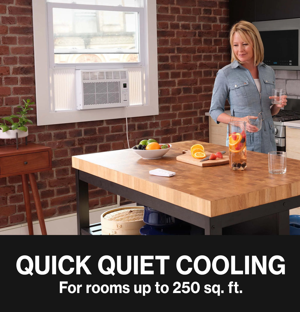 6,000 BTU Window Air Conditioner E8578