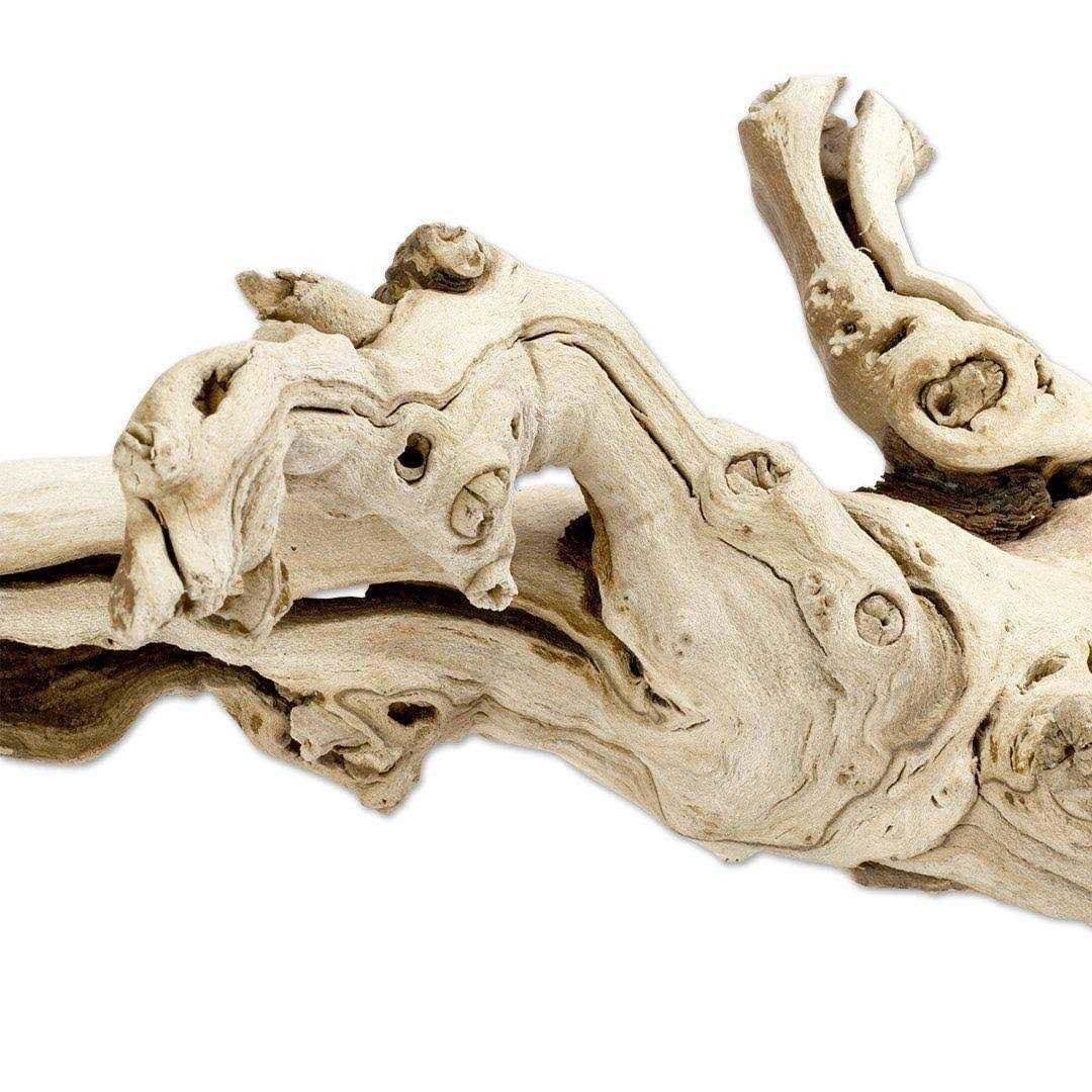 Grapewood Branch F368
