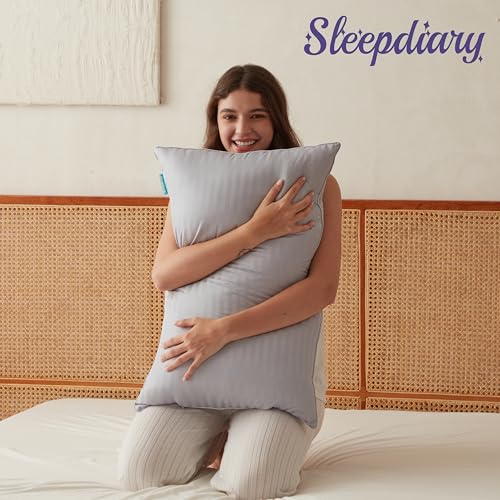 Queen Size Set of 2 Gray Down Alternative Pillows T8429