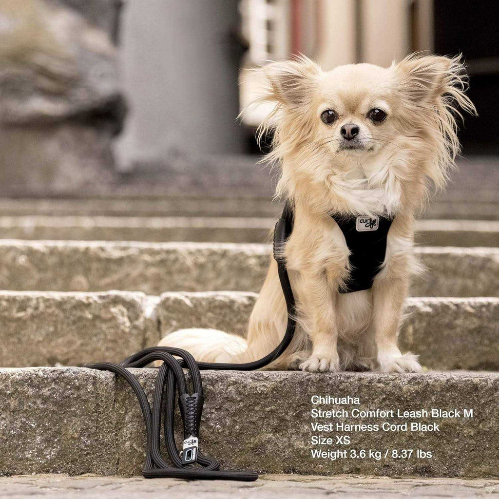 Stretch Comfort Leash I951