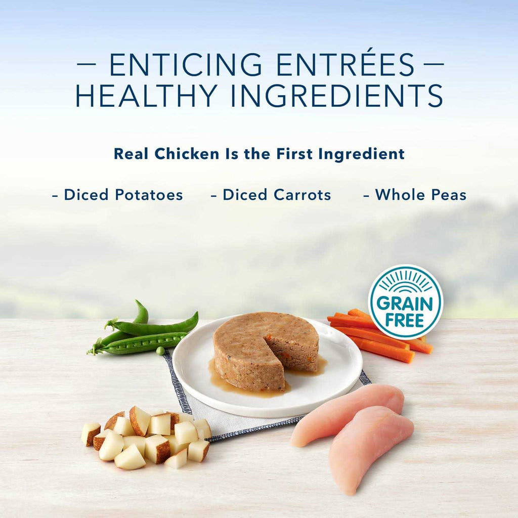 Chicken Flavor Pate Small Breed Dog Food W208494