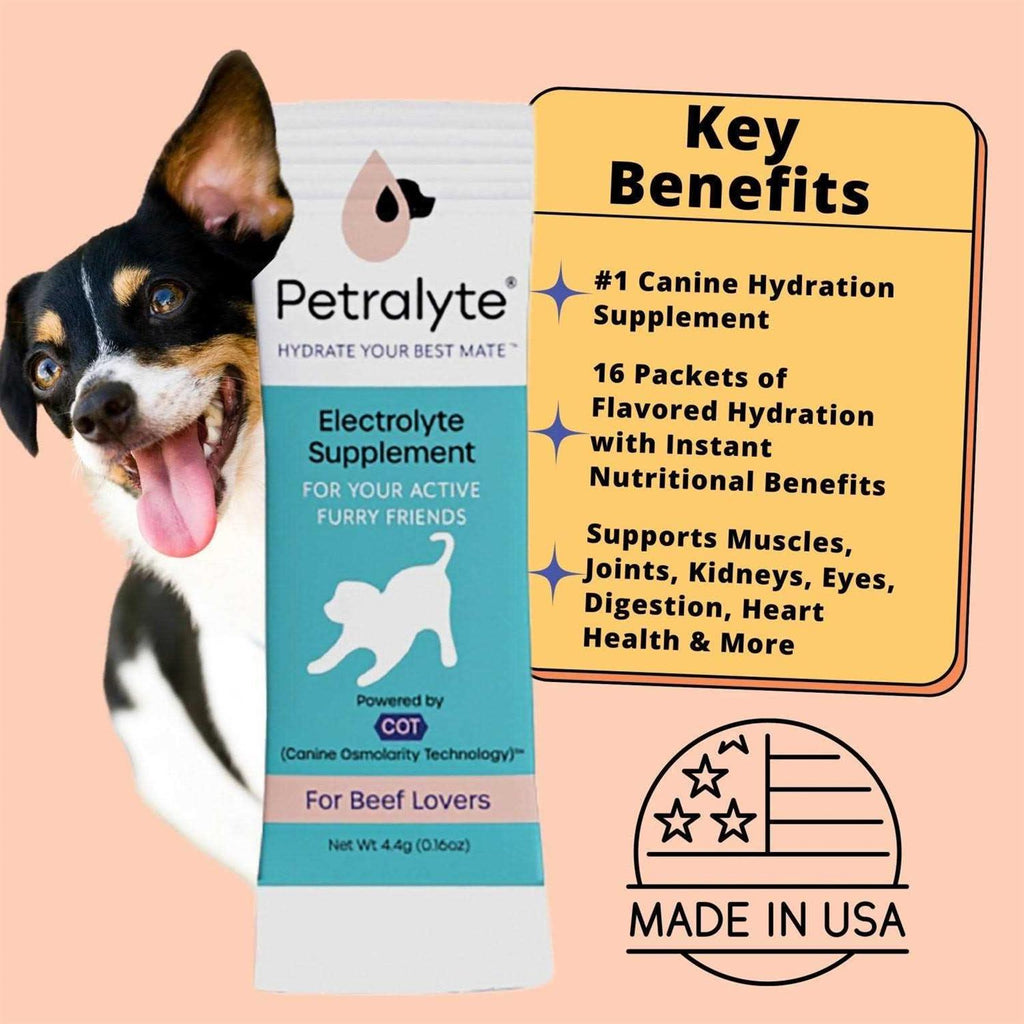Dog Electrolyte Formula H3926